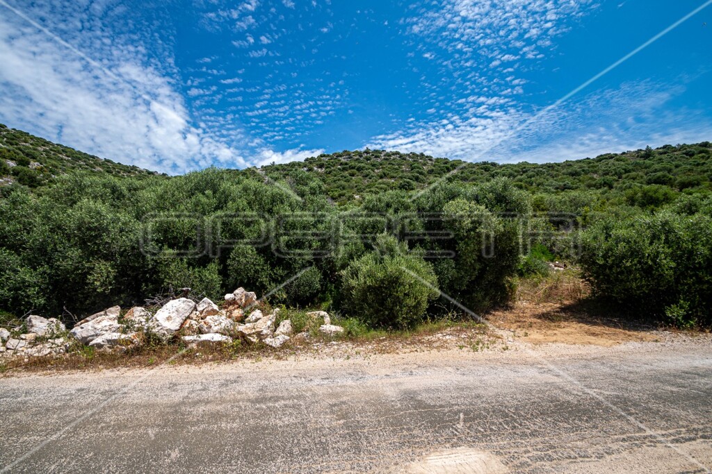 Image 6157764 - 7
