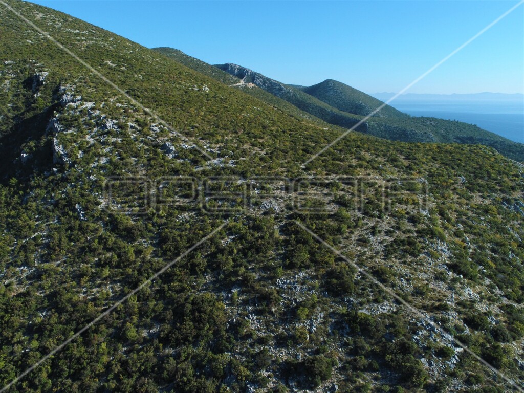 Image 6157770 - 7