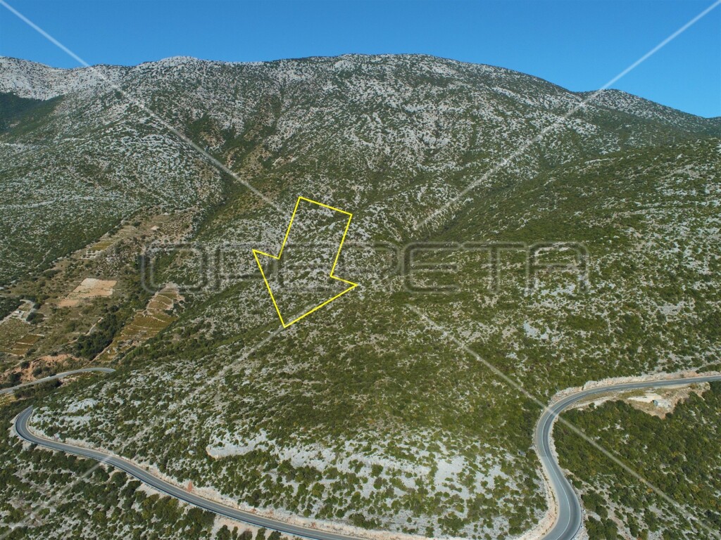 Image 6157770 - 6