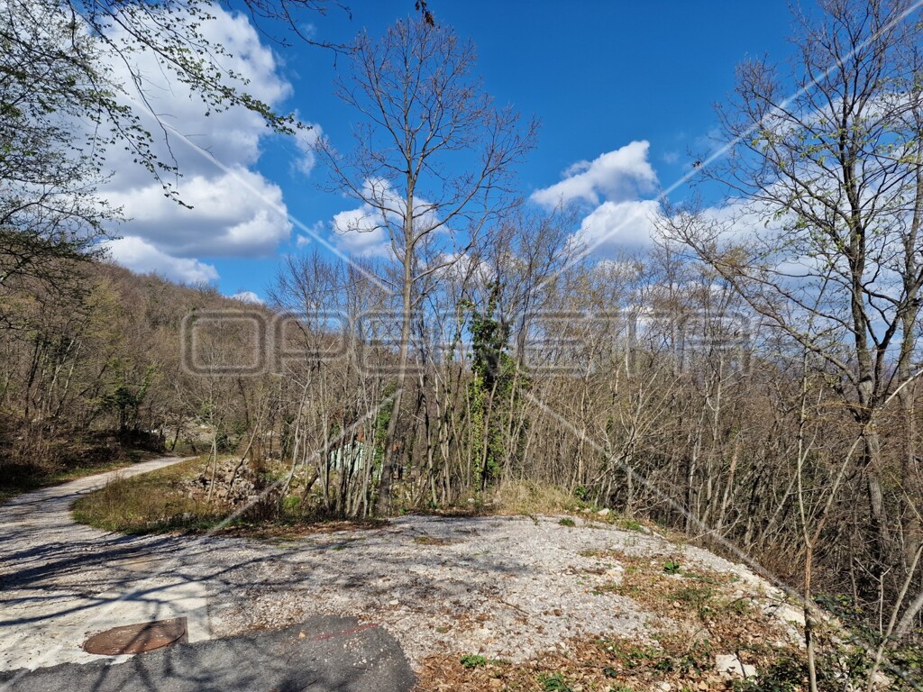 Image 6157779 - 10