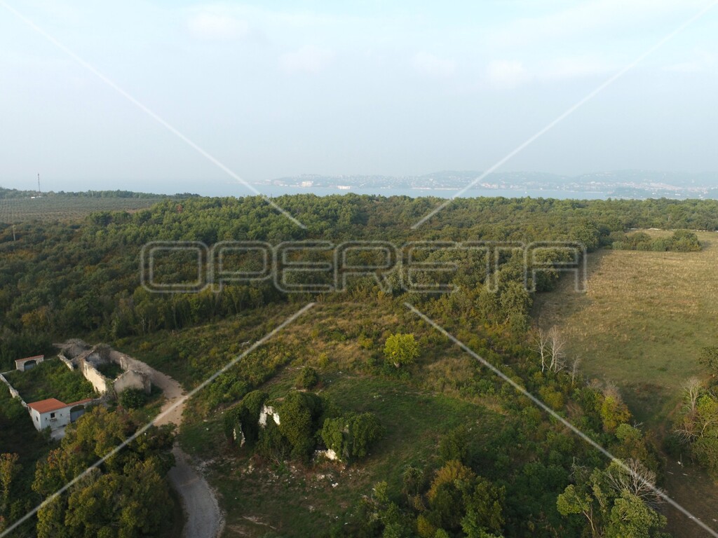 Image 6157783 - 1