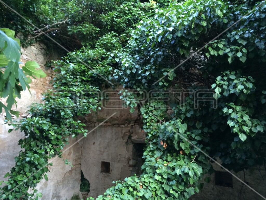 Image 6157783 - 12