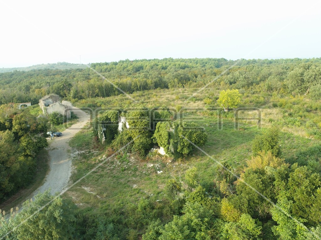 Image 6157783 - 15