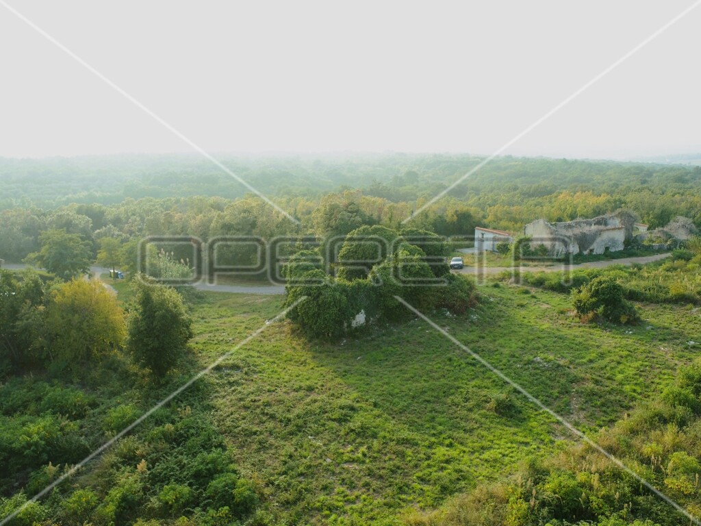 Image 6157783 - 13