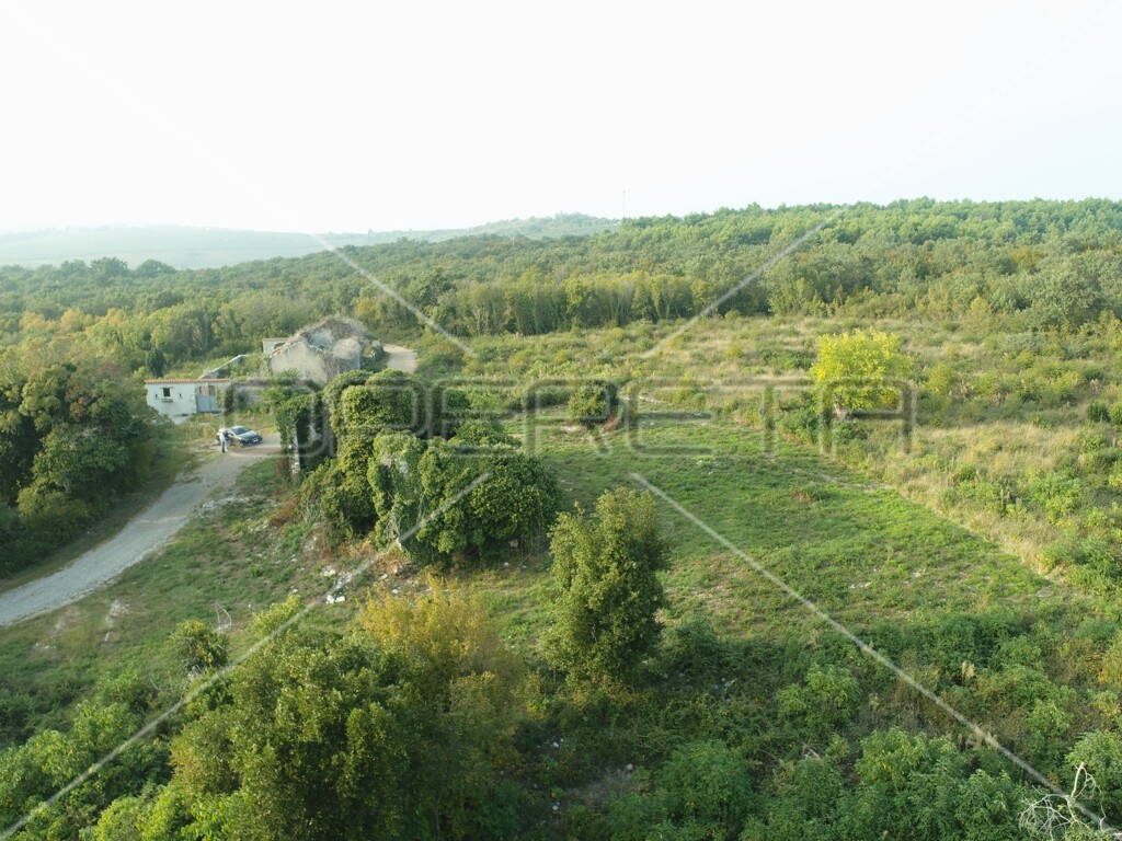Image 6157783 - 14