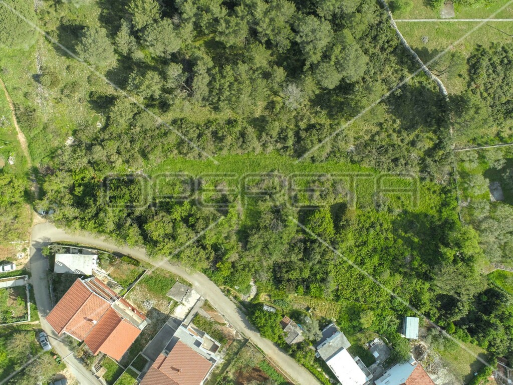 Image 6157797 - 8