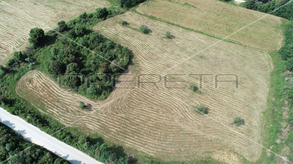 Image 6157798 - 5