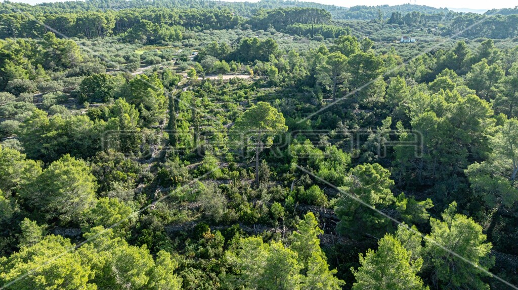 Image 6157821 - 13