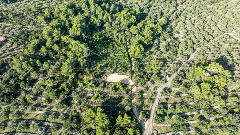 Image 6157821 - 4