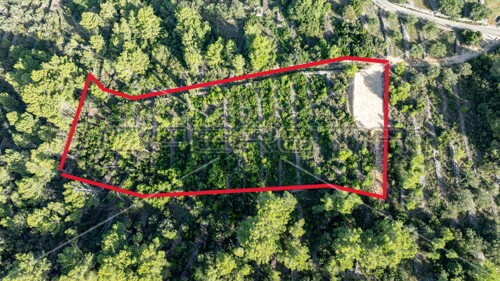 Zemljište od 5321 m² za poljoprivredu na mirnoj lokaciji otoka Korčule\\"