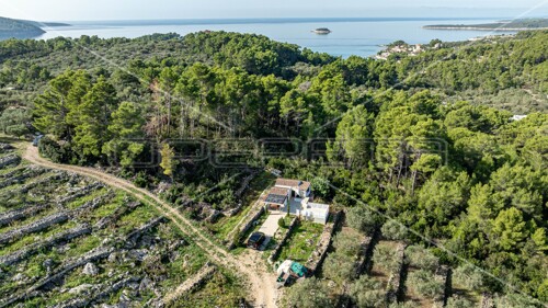 Poljoprivredno zemljište na Korčuli – 14.406 m² za Razvoj i Ulaganje