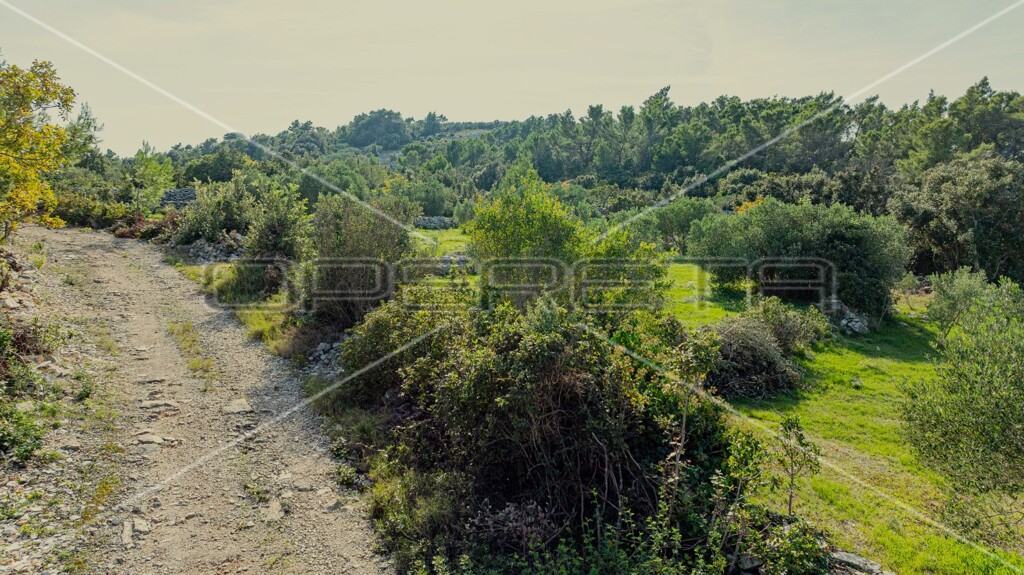 Image 6157823 - 16