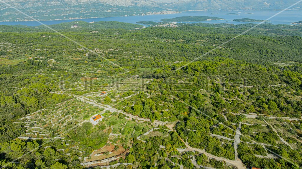 Image 6157823 - 1