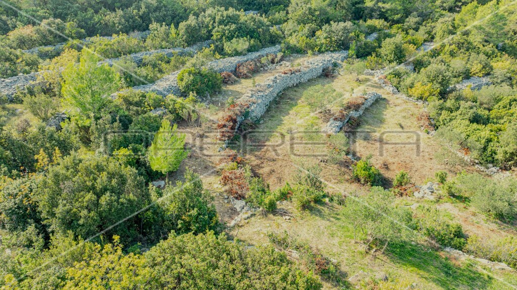Image 6157823 - 18