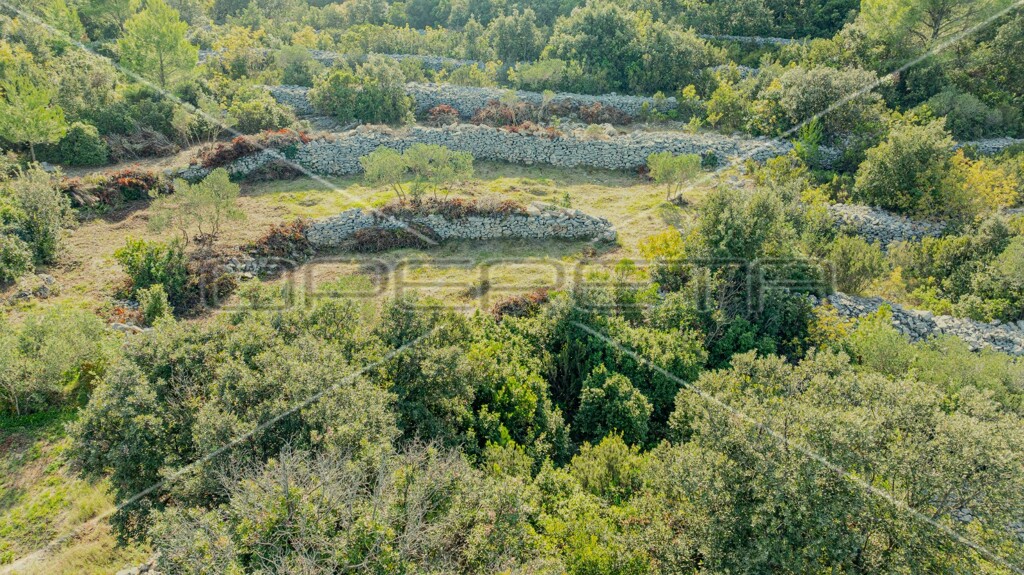 Image 6157823 - 19
