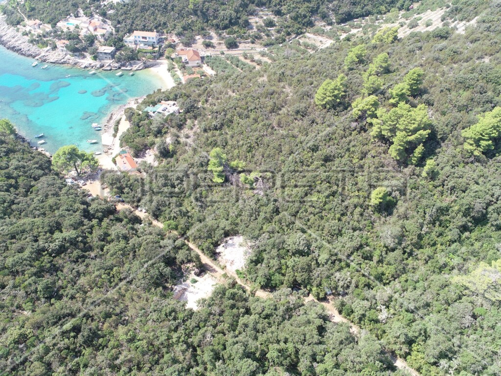 Image 6157825 - 12