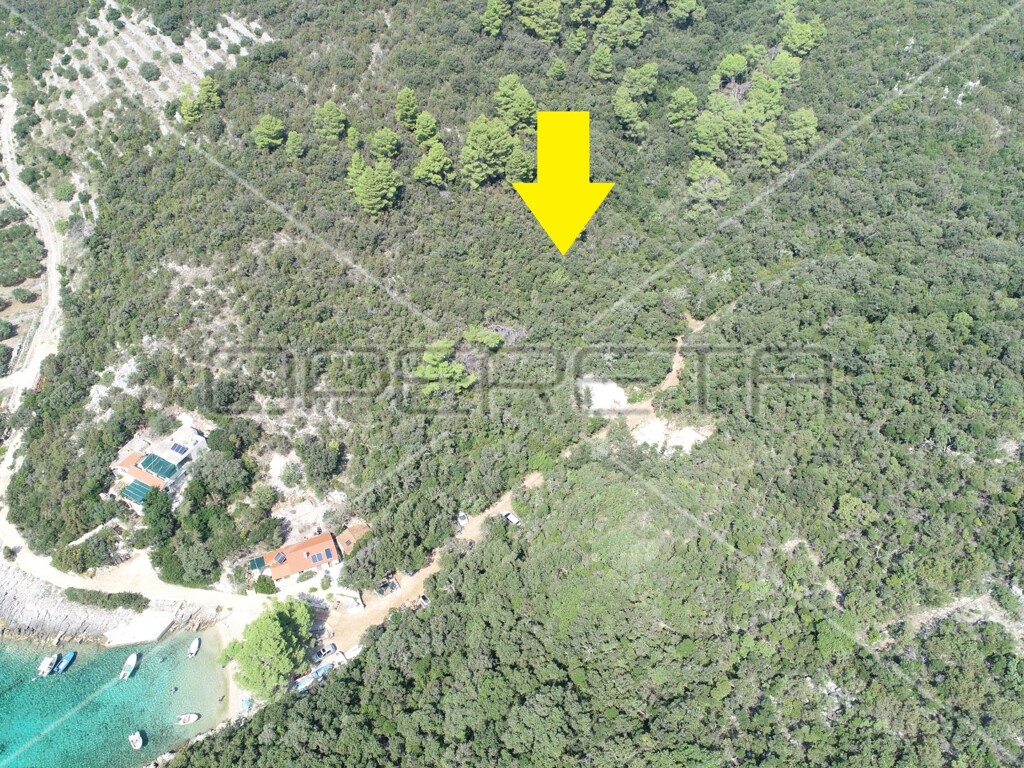 Image 6157825 - 8