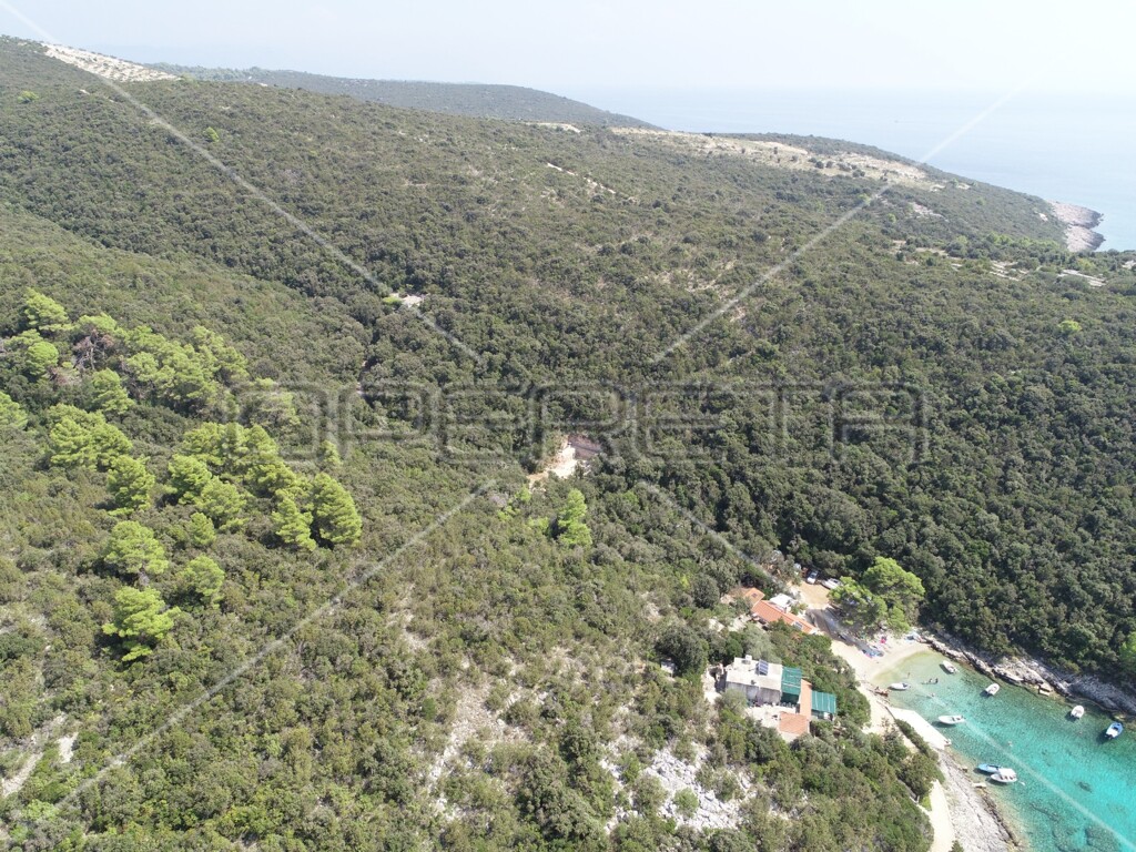 Image 6157825 - 22