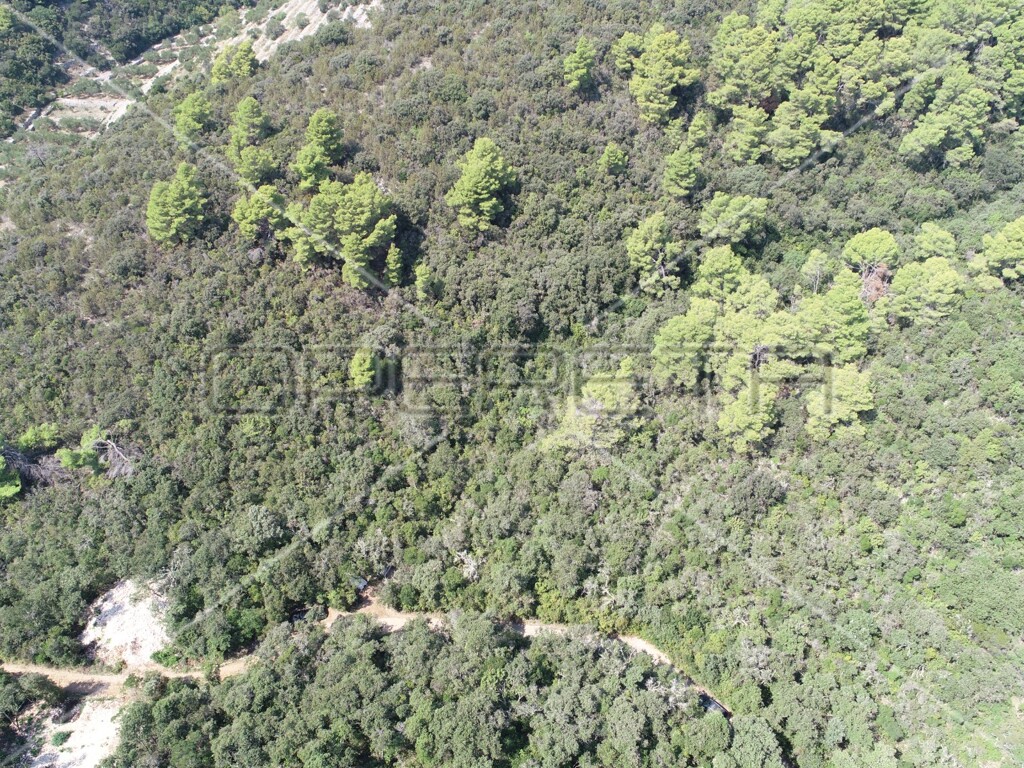 Image 6157825 - 15