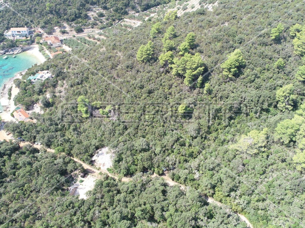 Image 6157825 - 13