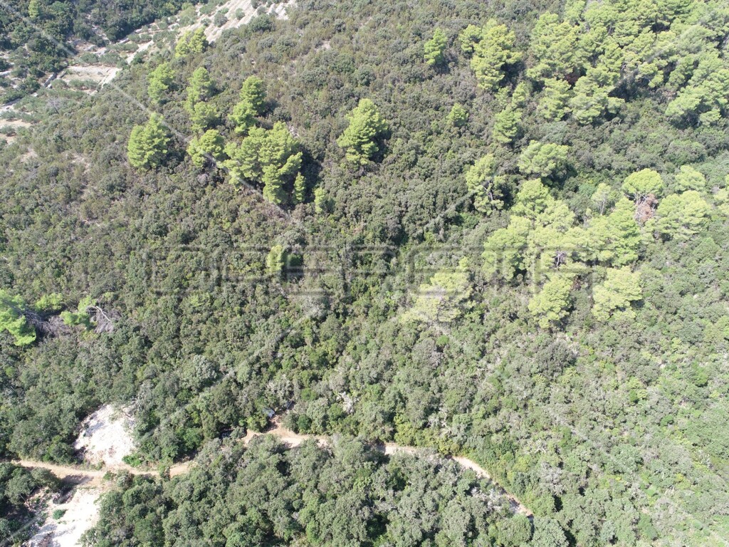Image 6157825 - 14