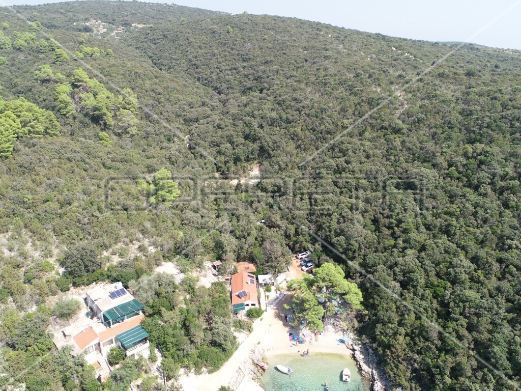 Image 6157825 - 7