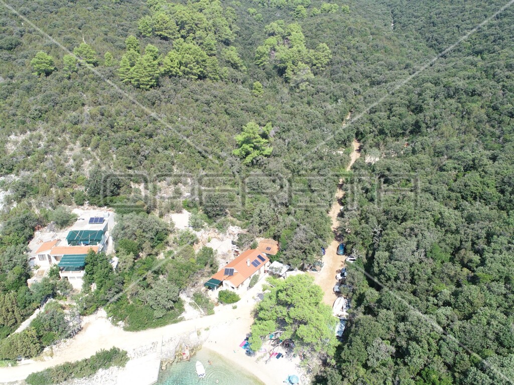Image 6157825 - 21
