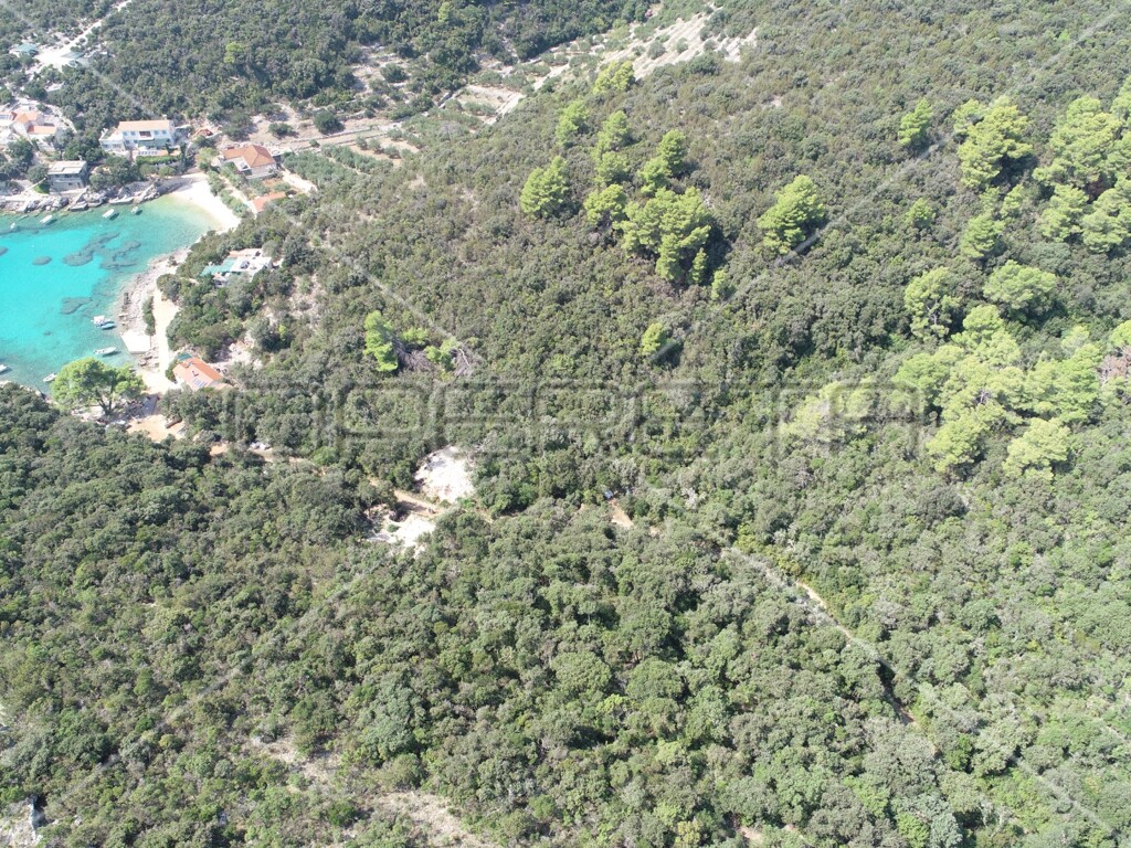 Image 6157825 - 16