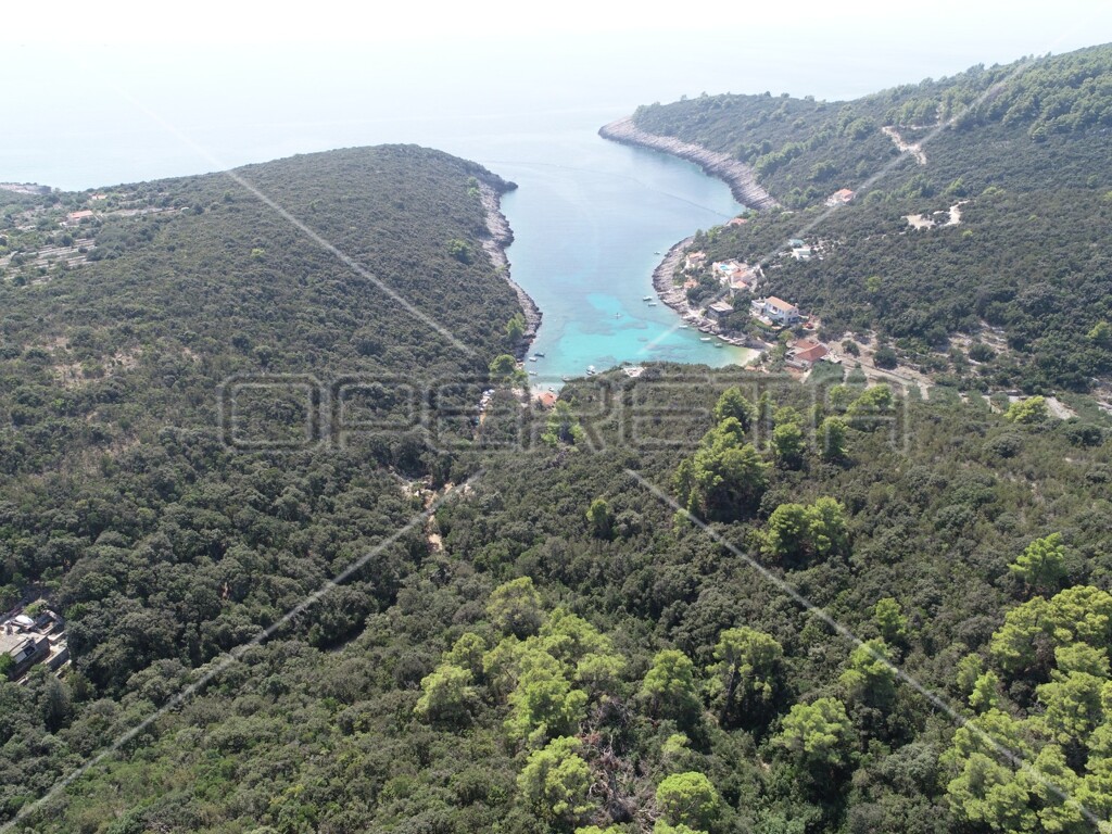 Image 6157825 - 11