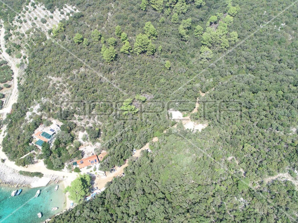 Image 6157825 - 9