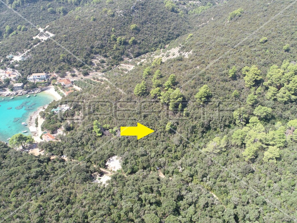 Image 6157825 - 3