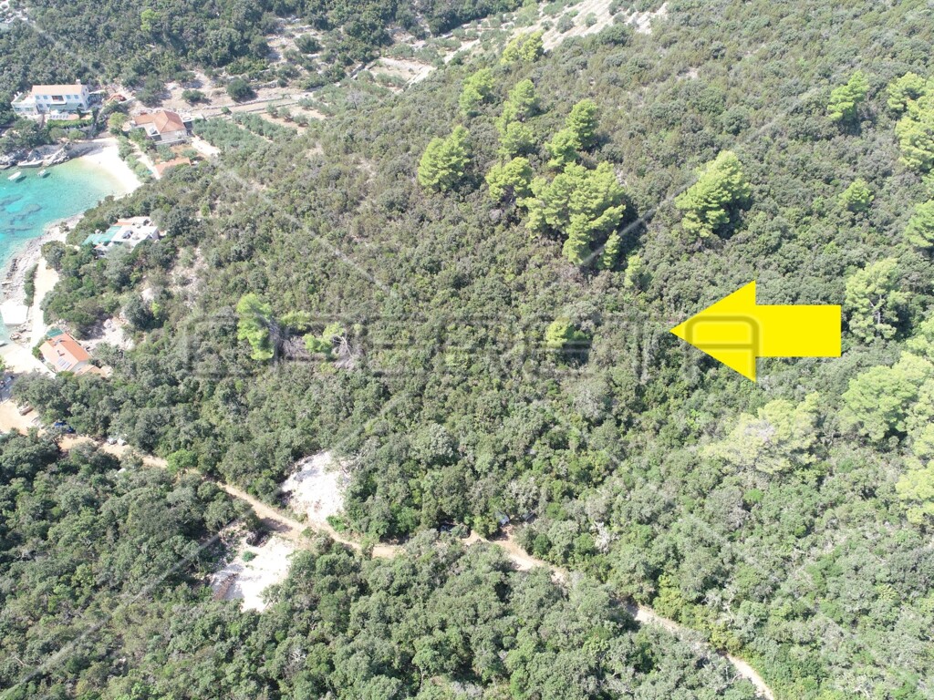 Image 6157825 - 5