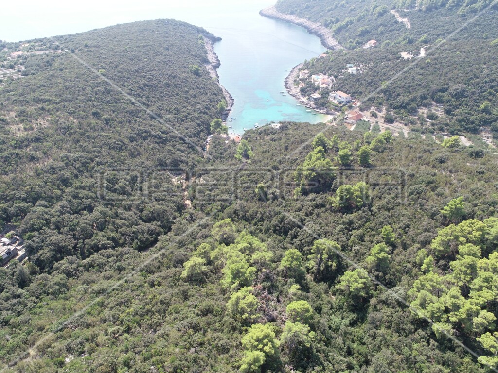 Image 6157825 - 10