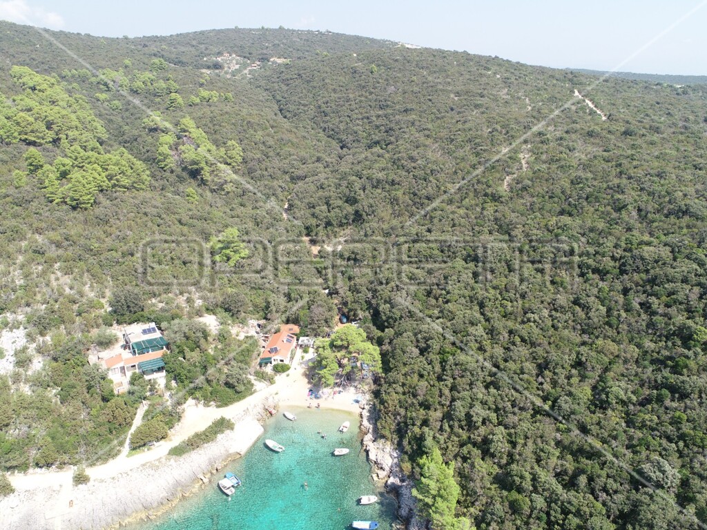 Image 6157825 - 6