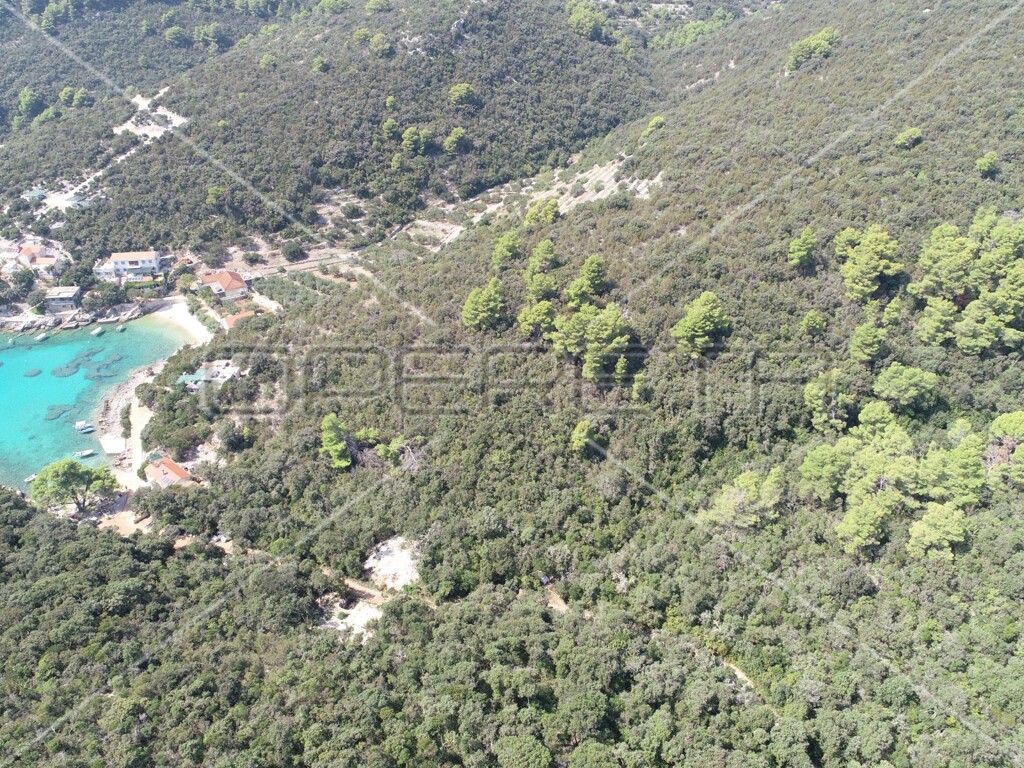 Image 6157825 - 17