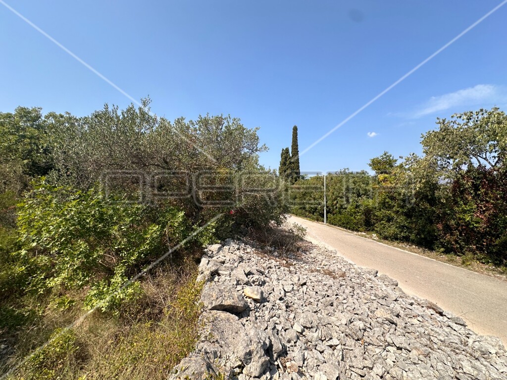 Image 6157826 - 22
