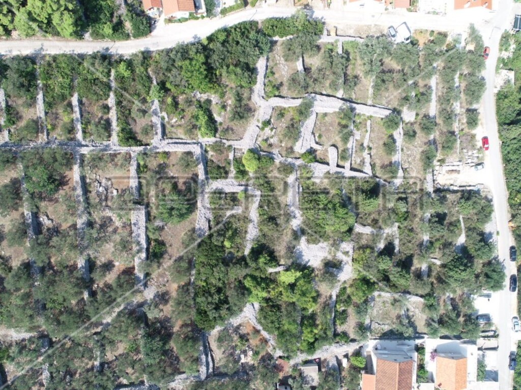 Image 6157826 - 12