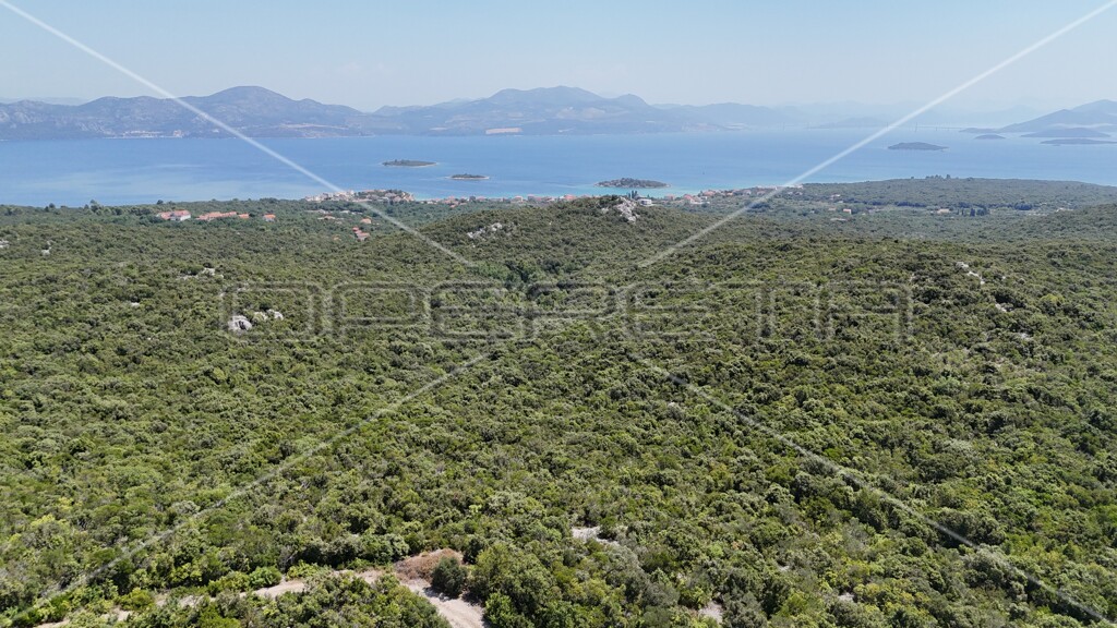 Image 6157828 - 6