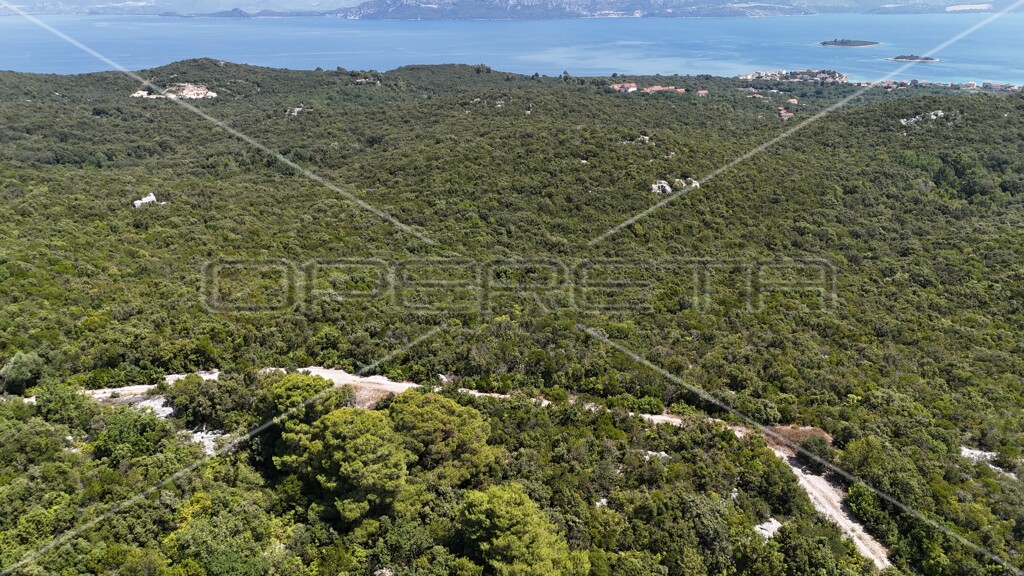 Image 6157828 - 15