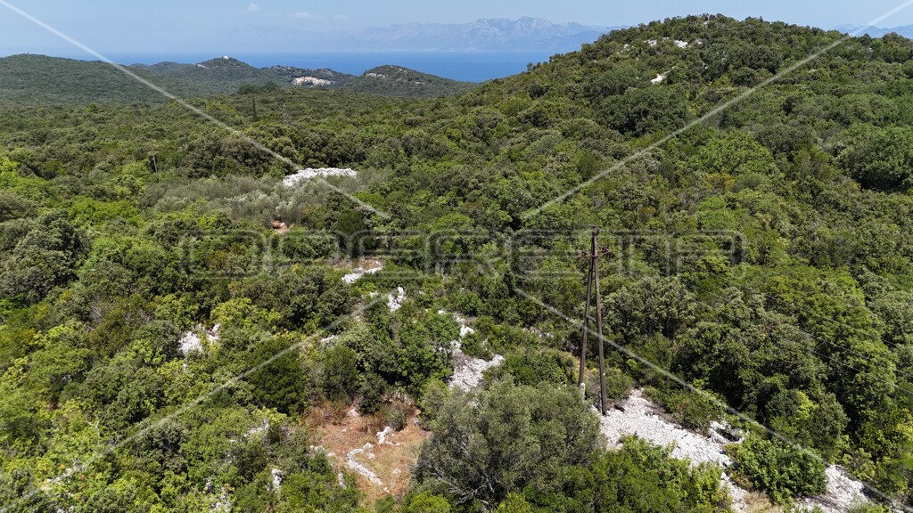 Image 6157828 - 12