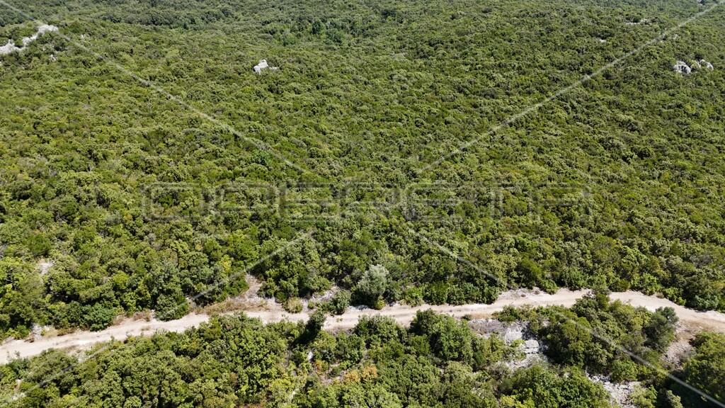 Image 6157828 - 21