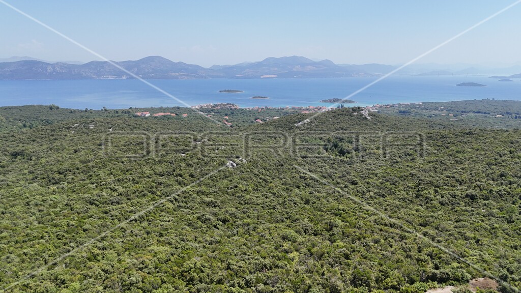Image 6157828 - 10
