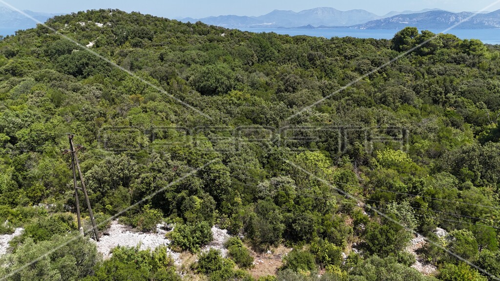 Image 6157828 - 11