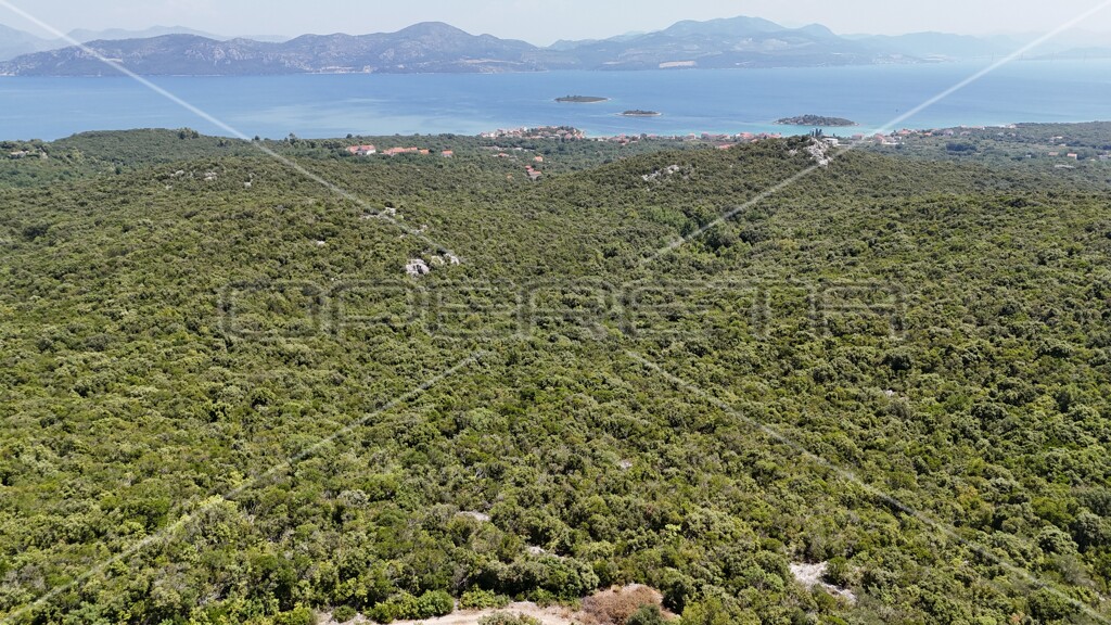 Image 6157828 - 19