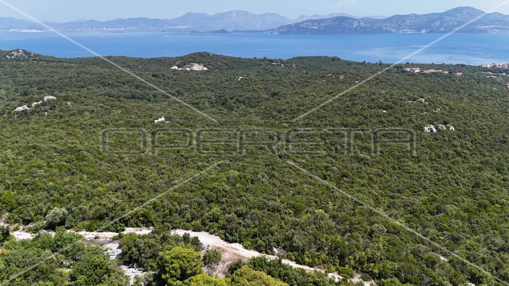 Image 6157828 - 18