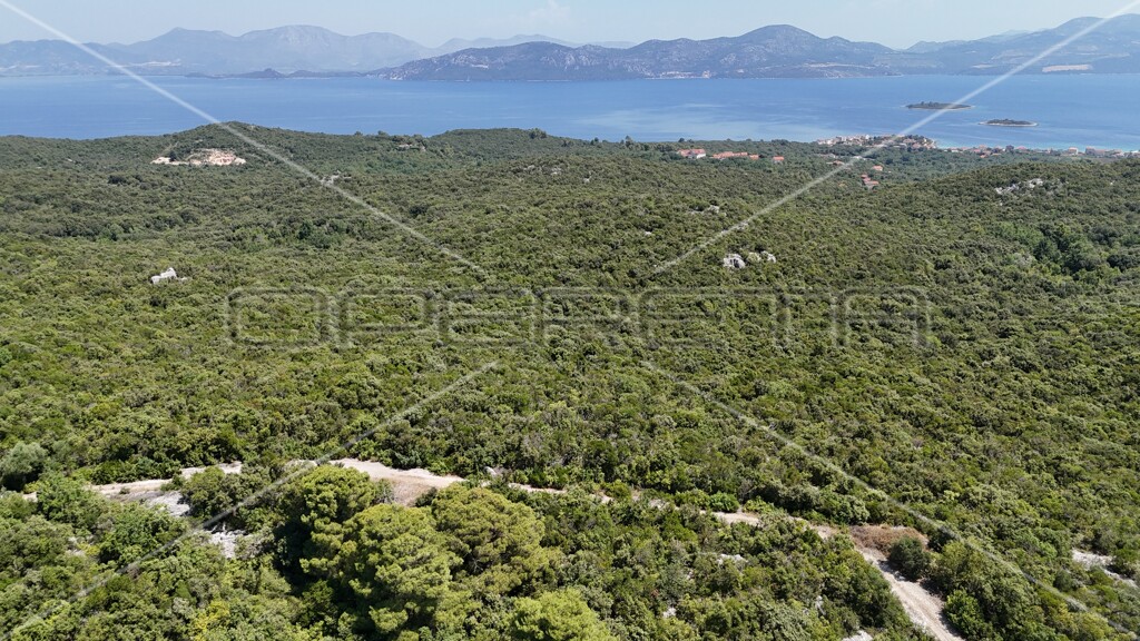 Image 6157828 - 14