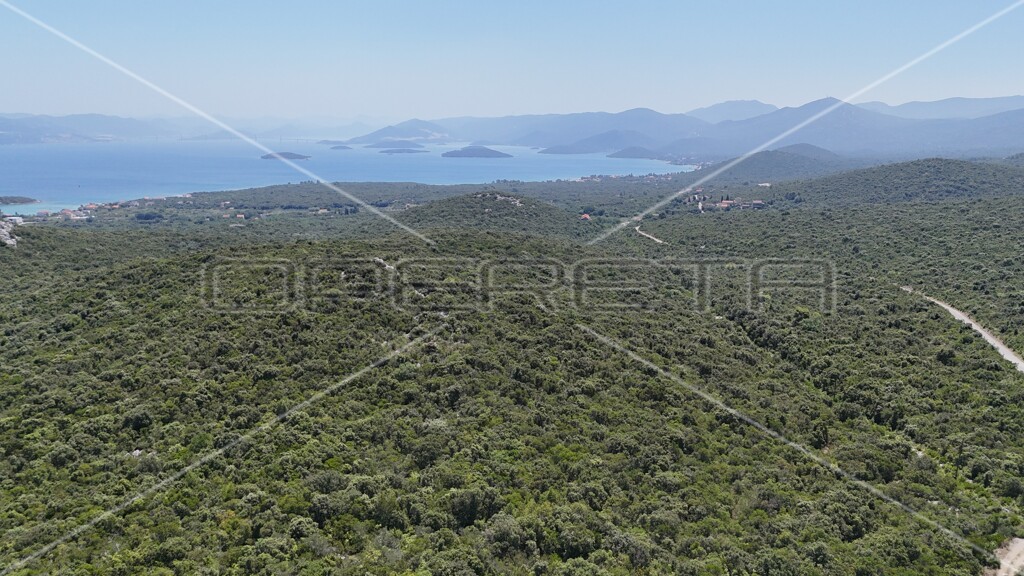 Image 6157828 - 8