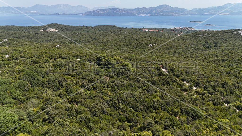 Image 6157828 - 13