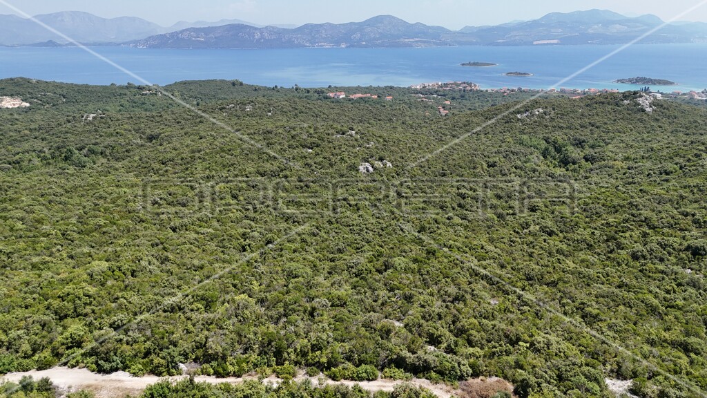 Image 6157828 - 17