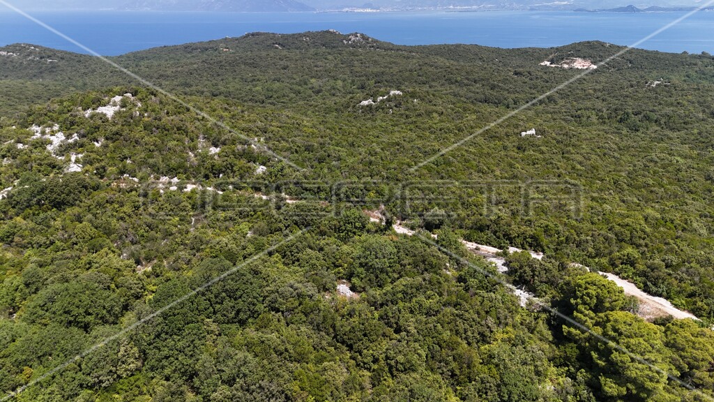 Image 6157828 - 16